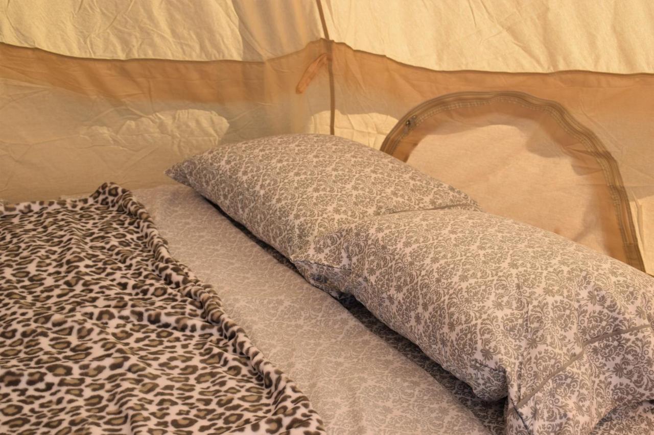 Starlight Tent 2 Холбрук Экстерьер фото